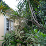 Sobrado à venda com 3 quartos em Vila Maria Alta, São Paulo, SP