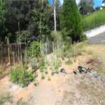 Casa à venda com 2 quartos em Serra da Cantareira, Mairiporã, SP
