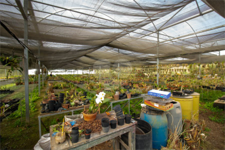 Terreno à venda com 1 quarto em Jardim Camargo (canguera), São Roque, SP