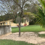 Sítio à venda ou para alugar com 3 suítes em Parque Residencial Indaiá, Indaiatuba, SP