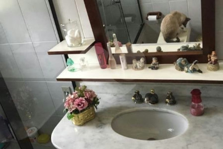 Sobrado à venda com 3 quartos, sendo 1 suíte, em Brooklin, São Paulo, SP