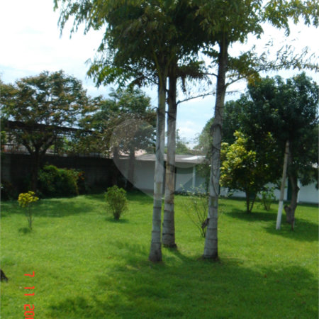 Sítio à venda com 4 quartos, sendo 2 suítes, em Santa Cruz, Rio de Janeiro, RJ