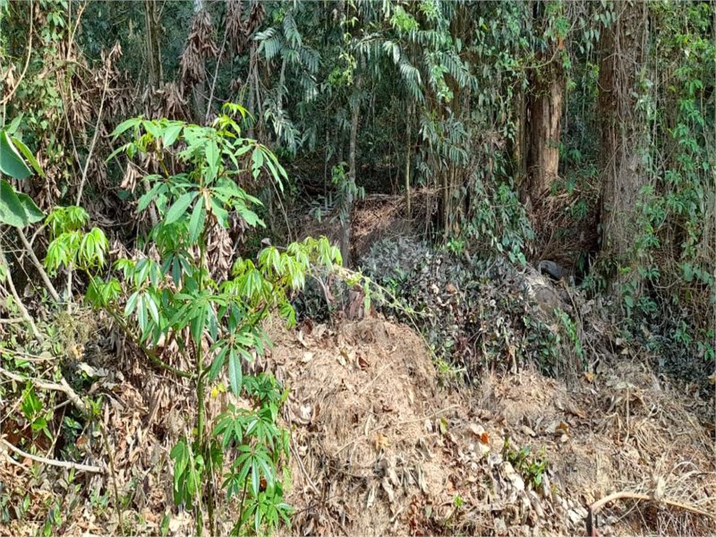 Terreno à venda em Roseira, Mairiporã, SP