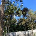 Terreno à venda no condomínio Suíça da Cantareira, Mairiporã - SP