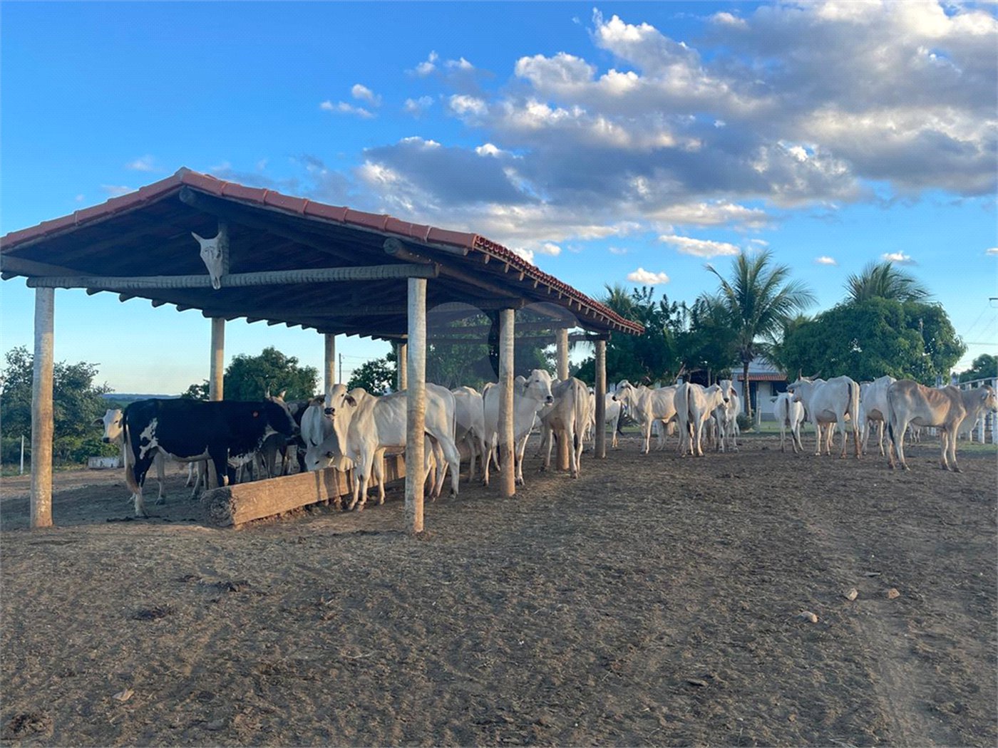 Fazenda à venda com 6 quartos, sendo 1 suíte,  no Centro, Capitão Enéas, MG