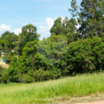 Terreno à venda em Bela Vista, Salto, SP