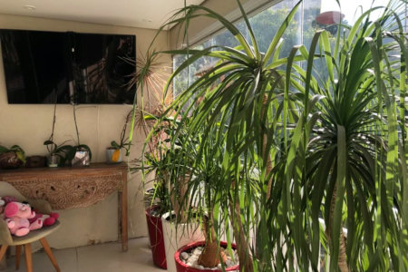 Apartamento à venda com 3 suítes em Lar São Paulo, São Paulo, SP