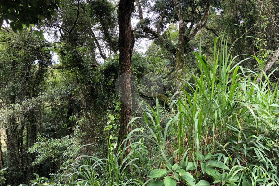 Terreno à venda no condomínio Gleba E2, Mairiporã - SP