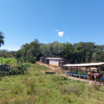 Sítio à venda com 5 quartos, sendo 1 suíte,  em Área Rural de Tapiraí, Tapiraí, SP