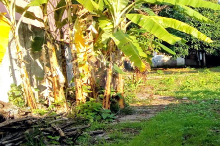 Terreno à venda em Campo Belo, São Paulo, SP