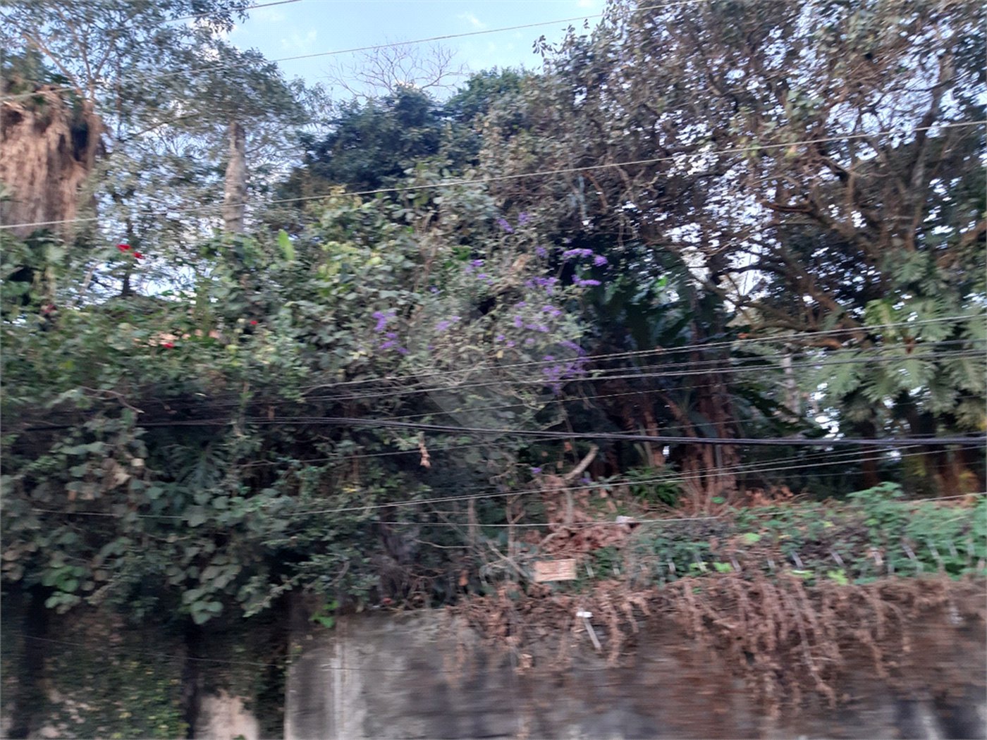 Terreno à venda em Vila Gustavo, São Paulo, SP