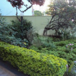 Sobrado à venda com 4 quartos, sendo 2 suítes, em Jardim Peri Peri, São Paulo, SP
