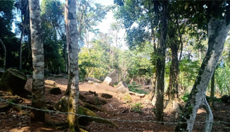 Terreno à venda em São Pedro (cambaquara), Ilhabela, SP
