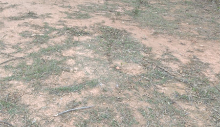 Terreno à venda no condomínio Associação Mirante da Mantiqueira, Mairiporã - SP