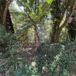 Terreno à venda no condomínio Sausalito, Mairiporã - SP