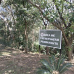 Terreno à venda em Parque das Quaresmeiras, Campinas, SP