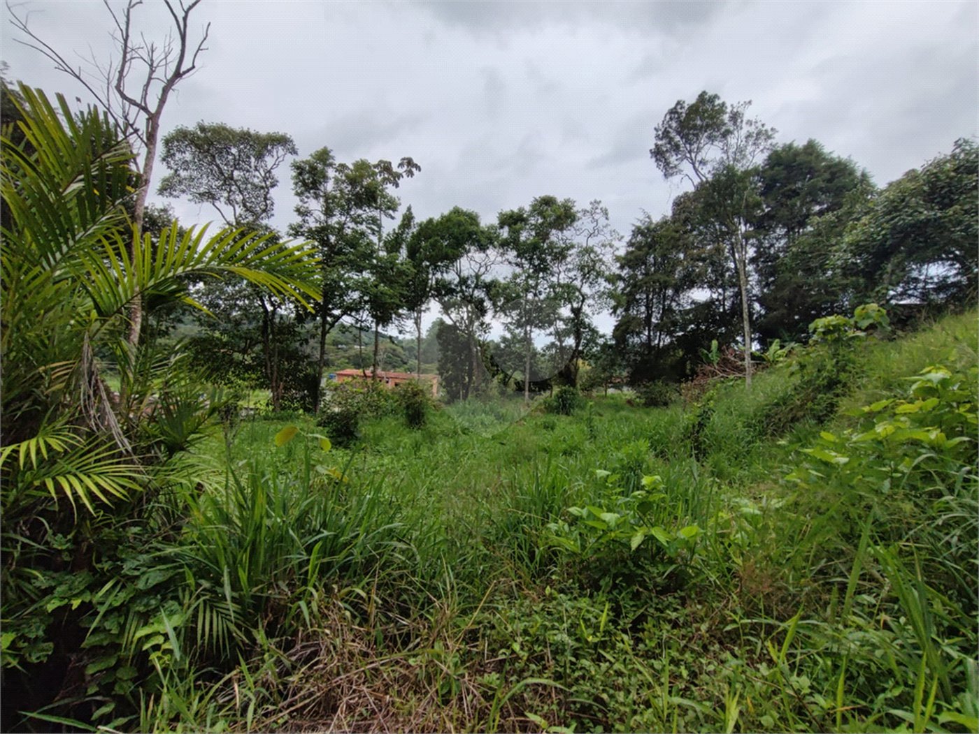 Terreno à venda em Vila Moraes, Mogi das Cruzes, SP