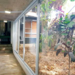 Casa à venda com 3 suítes em Lapa, São Paulo, SP