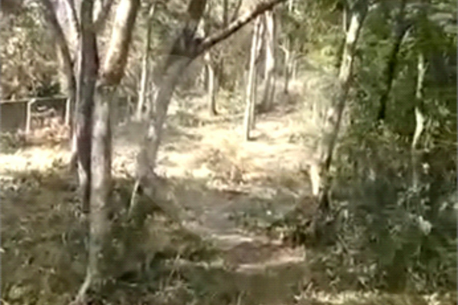 Terreno à venda em Luiz Fagundes, Mairiporã, SP