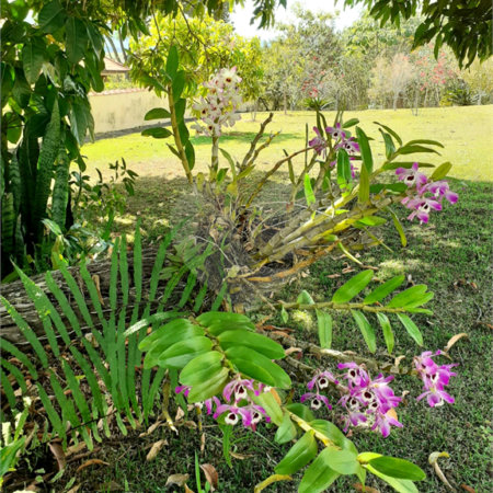 Terreno à venda no condomínio Village de Atibaia, Atibaia - SP