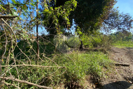 Terreno à venda em Campo Lindo, Seropédica, RJ