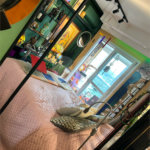 Apartamento à venda com 1 suíte em Indianópolis, São Paulo, SP