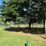 Apartamento à venda com 2 quartos, sendo 1 suíte, em Água Branca, São Paulo, SP