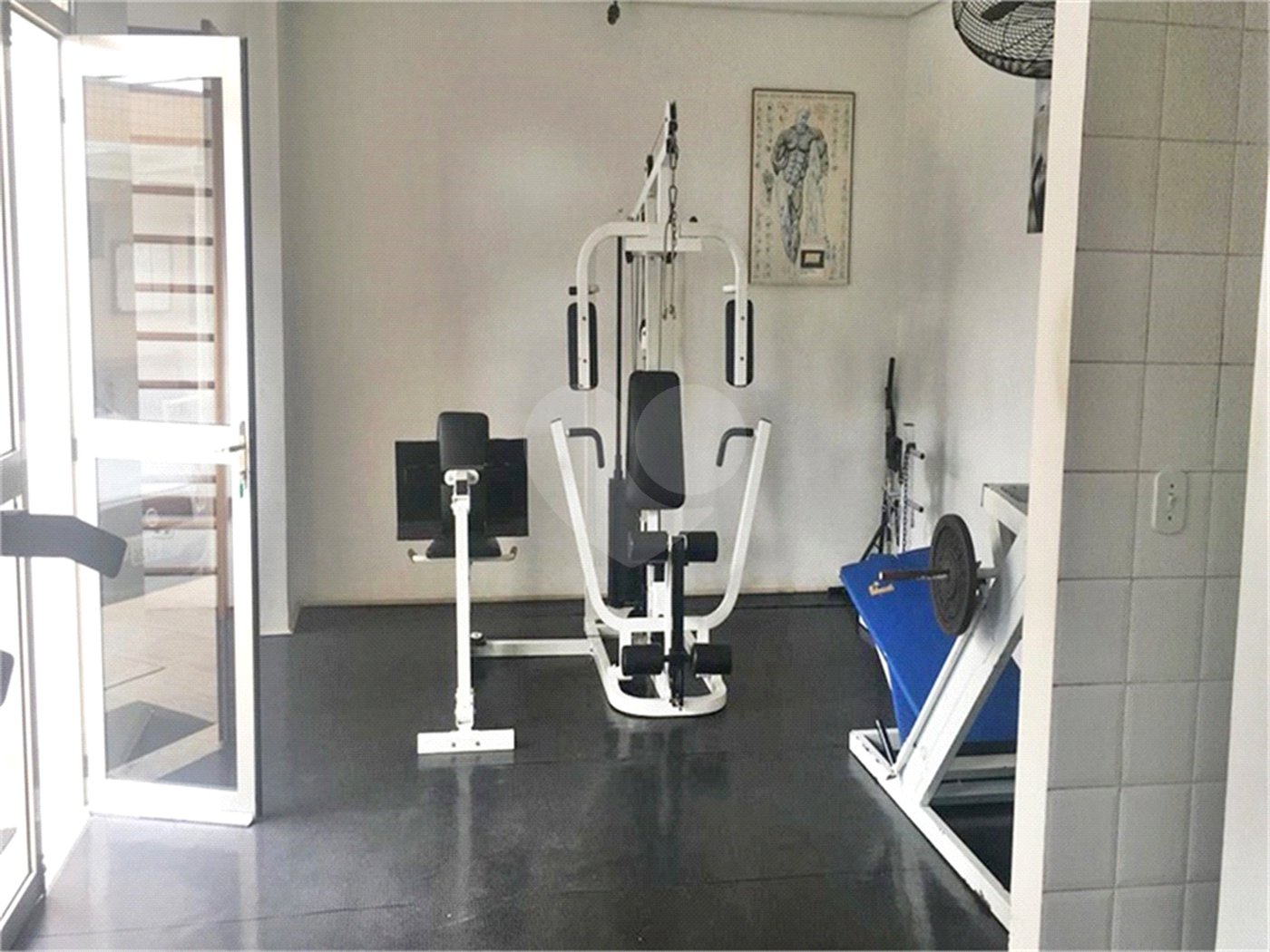 Apartamento à venda com 3 quartos em Vila Maria, São Paulo, SP