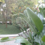 Apartamento à venda com 3 quartos, sendo 1 suíte, em Granja Julieta, São Paulo, SP