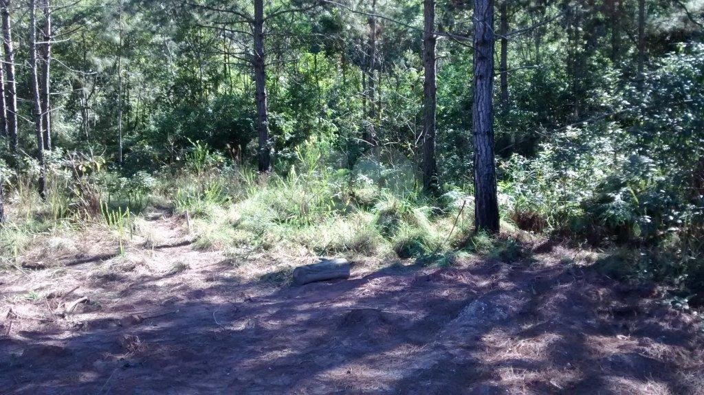 Terreno à venda em Jardim Glória, Miracatu, SP