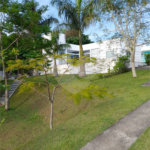 Chácara à venda com 3 suítes no Centro, Biritiba-mirim, SP