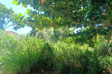 Terreno à venda em Caravelas, Armação dos Búzios, RJ