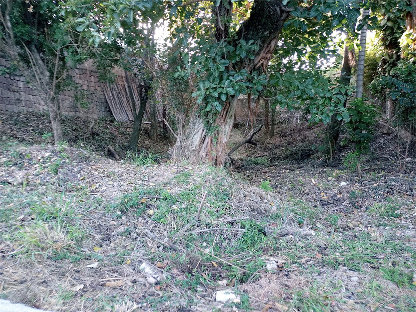 Terreno à venda em João Xxiii, Vinhedo, SP