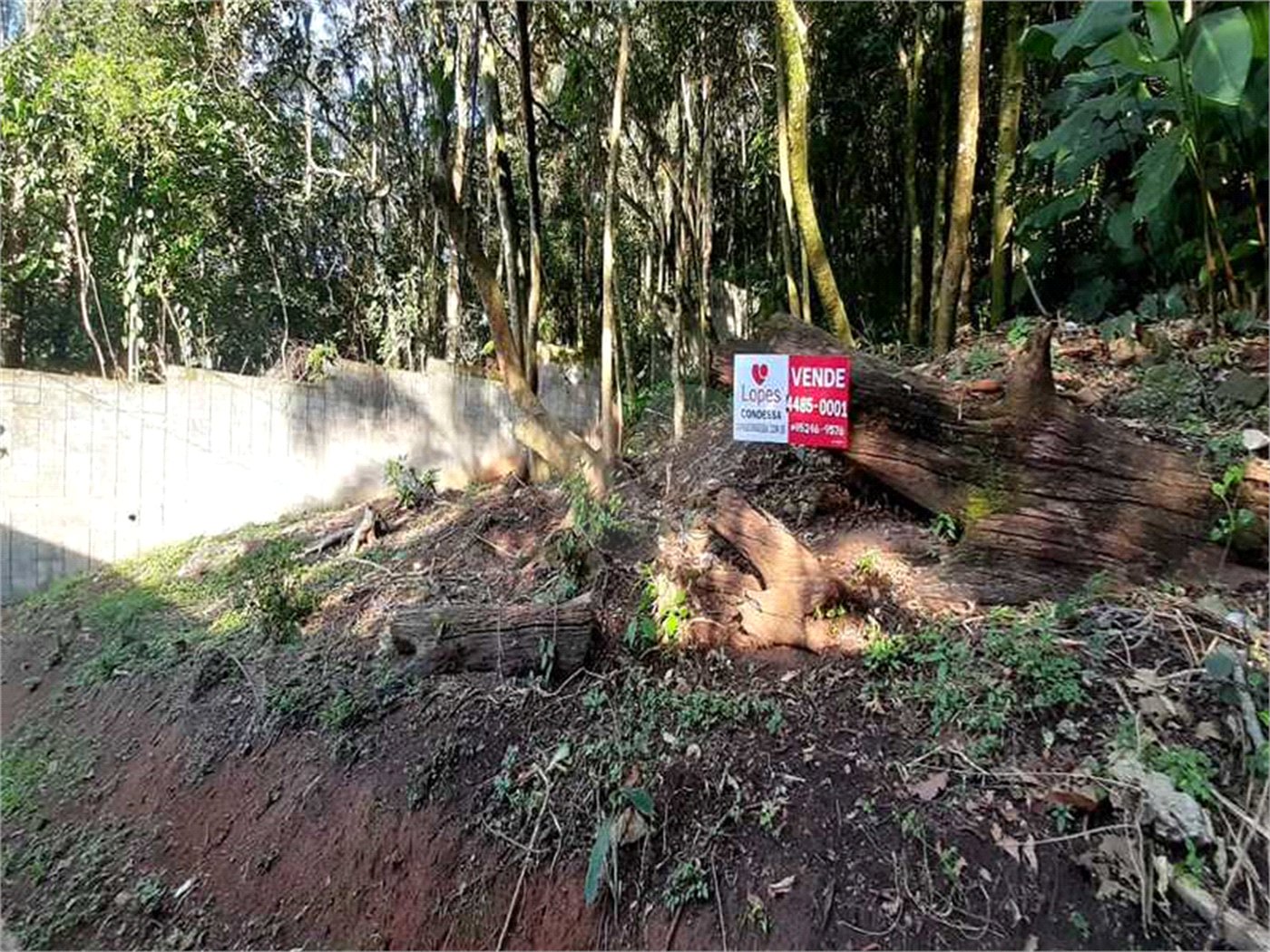 Terreno à venda em Serra da Cantareira, Mairiporã, SP