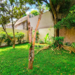 Casa para alugar com 4 quartos, sendo 2 suítes, no condomínio Comendador Elias Zarzur, São Paulo - SP