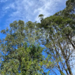 Terreno à venda no condomínio Suíça da Cantareira, Mairiporã - SP
