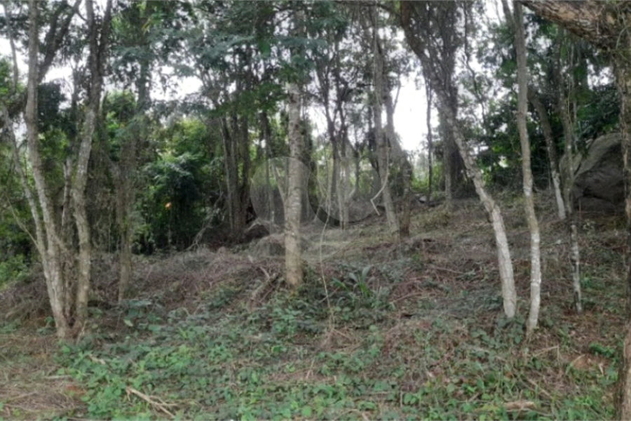 Loteamento à venda em Serra da Cantareira, São Paulo, SP