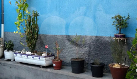 Terreno à venda com 1 quarto em Jardim Japão, São Paulo, SP