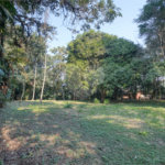 Terreno à venda com 1 quarto no condomínio Chácara Flora, São Paulo - SP