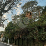 Terreno à venda em Vila Gustavo, São Paulo, SP