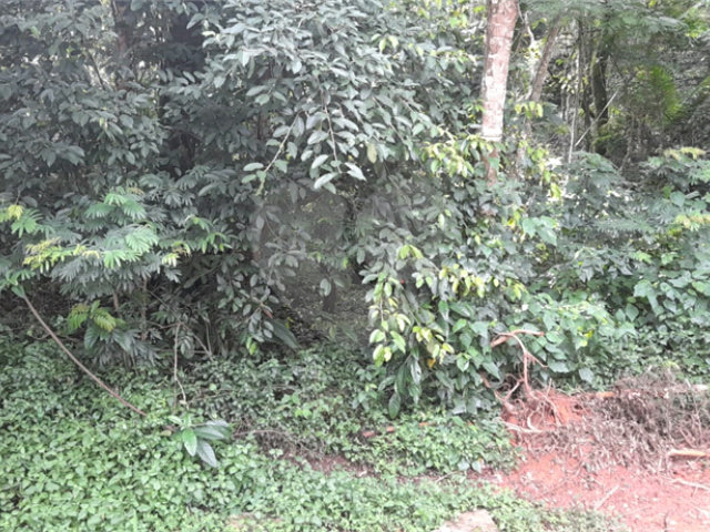 Terreno à venda em Roseira, Mairiporã, SP