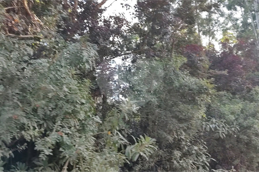 Terreno à venda em Luiz Fagundes, Mairiporã, SP