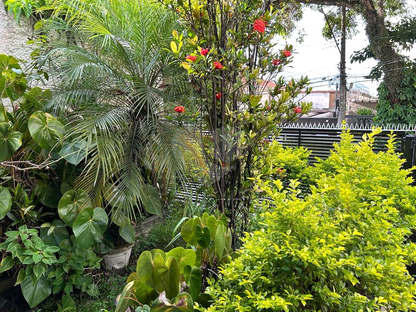 Casa à venda com 3 suítes em Ipiranga, São Paulo, SP