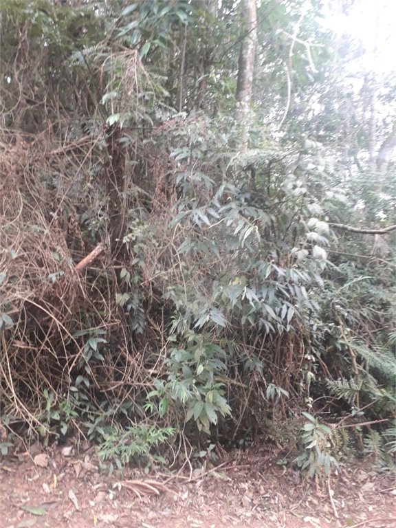 Terreno à venda em Suasalito, Mairiporã, SP