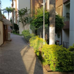 Apartamento à venda com 2 quartos em Vila Nova Cachoeirinha, São Paulo, SP