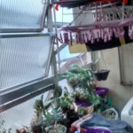 Apartamento à venda com 3 quartos, sendo 1 suíte, em Jaçanã, São Paulo, SP