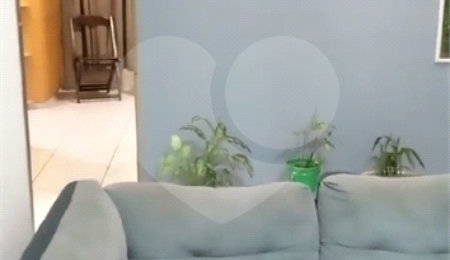 Apartamento à venda com 1 quarto em Campos Elíseos, São Paulo, SP