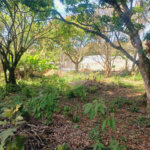 Terreno à venda em Luiz Fagundes, Mairiporã, SP