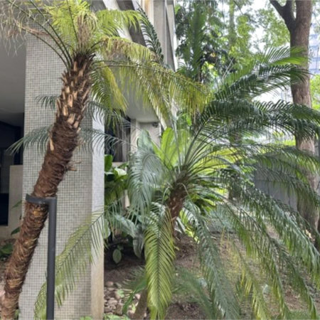Apartamento à venda com 3 quartos, sendo 1 suíte,  em Cerqueira César, São Paulo, SP