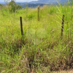 Oportunidade Exclusiva em Atibaia – Terreno com 8.919m² em Localização Privilegiada